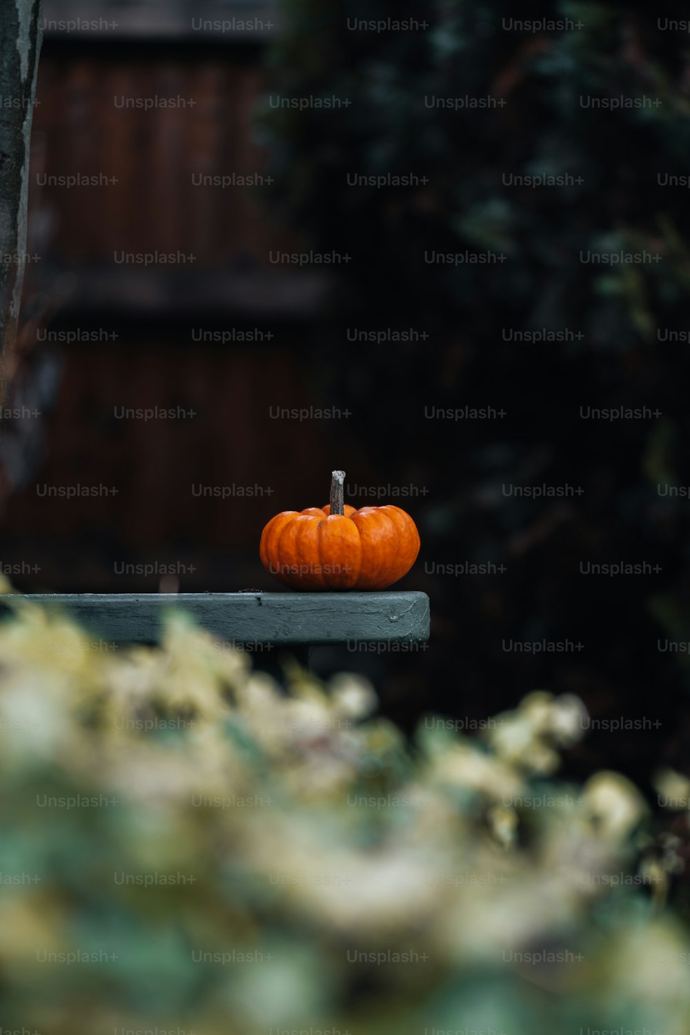 a small orange pumpkin sitting on top of a bench