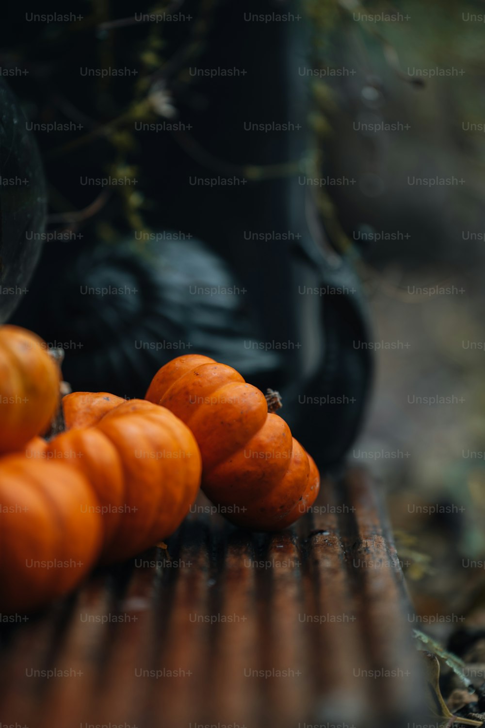 a group of small pumpkins sitting on a wooden table