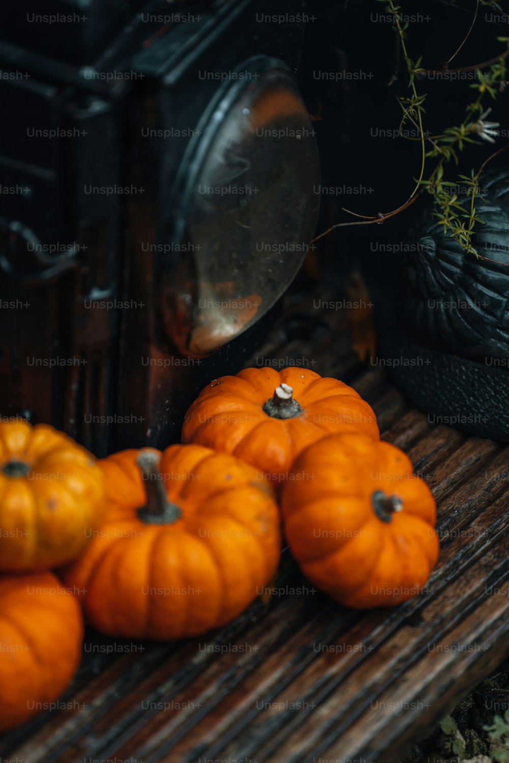 a pile of pumpkins sitting on top of a wooden table