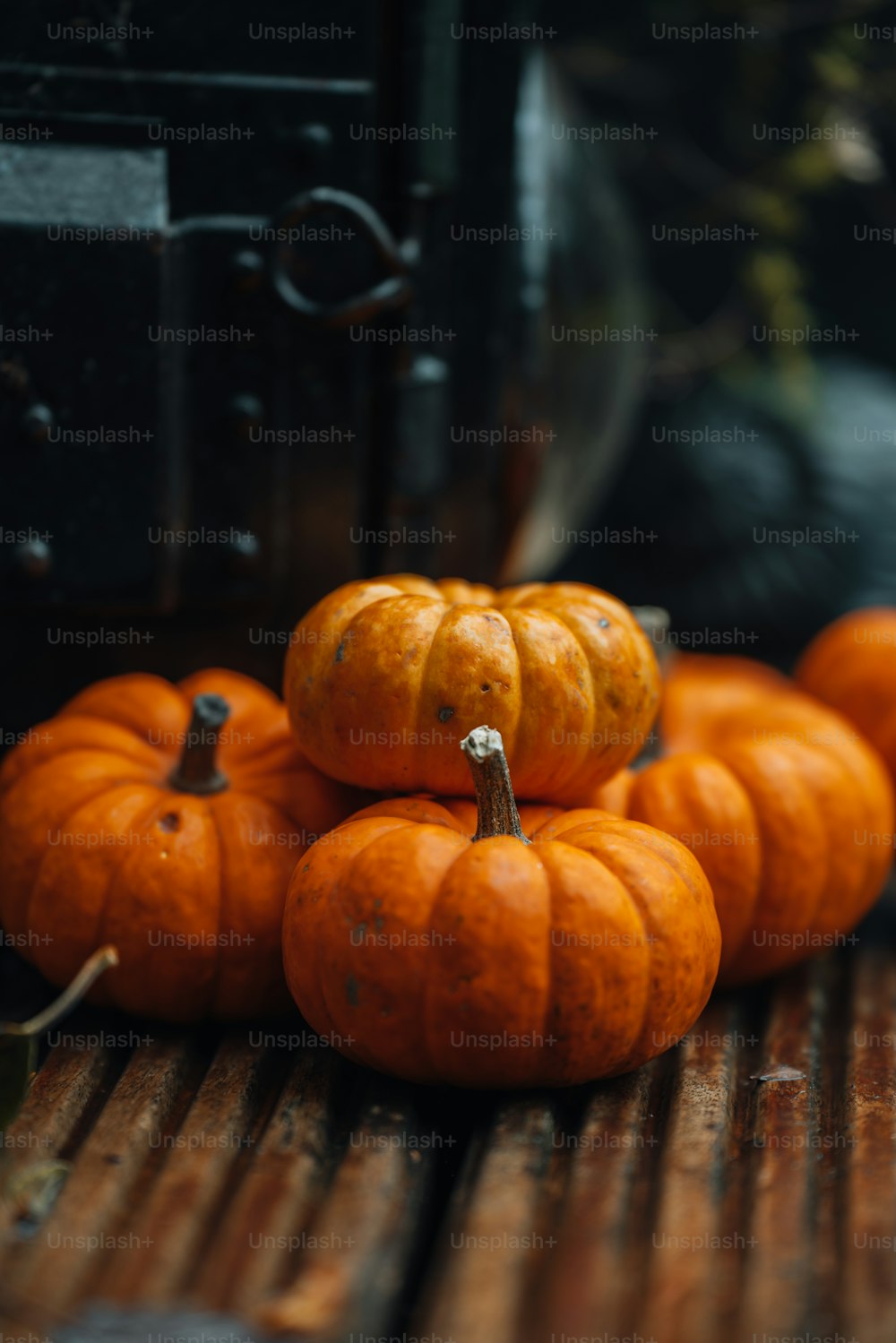 a group of small pumpkins sitting on top of a wooden table