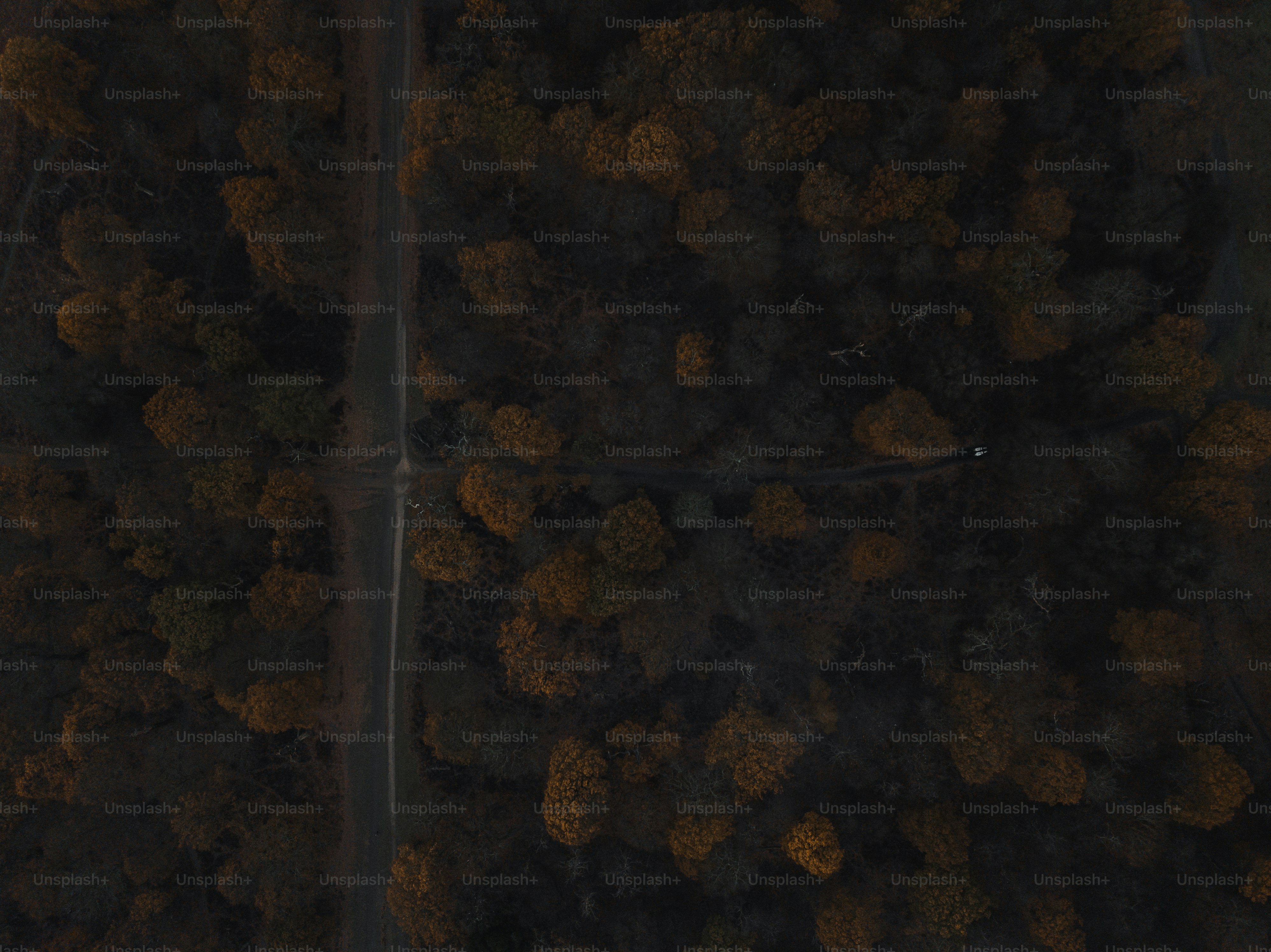 an aerial view of a road surrounded by trees