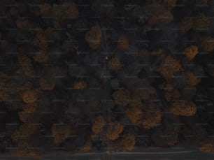 an aerial view of a road surrounded by trees