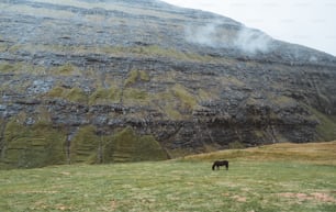 Un caballo pastando en una exuberante ladera verde