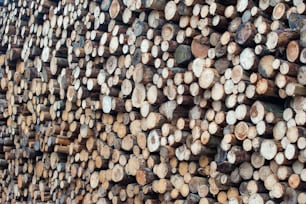 a pile of logs stacked on top of each other