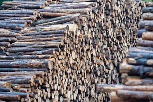 a pile of logs stacked on top of each other