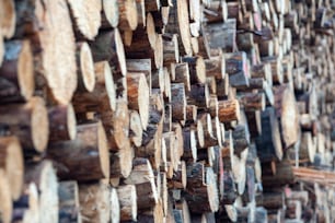 a large stack of logs stacked on top of each other