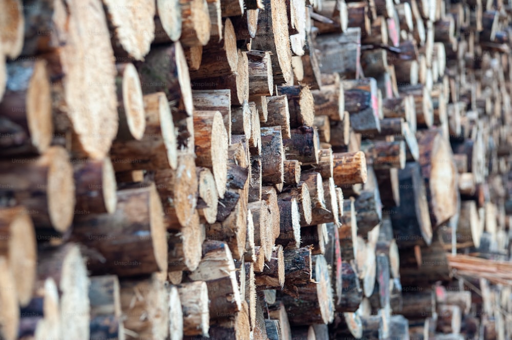 a large stack of logs stacked on top of each other