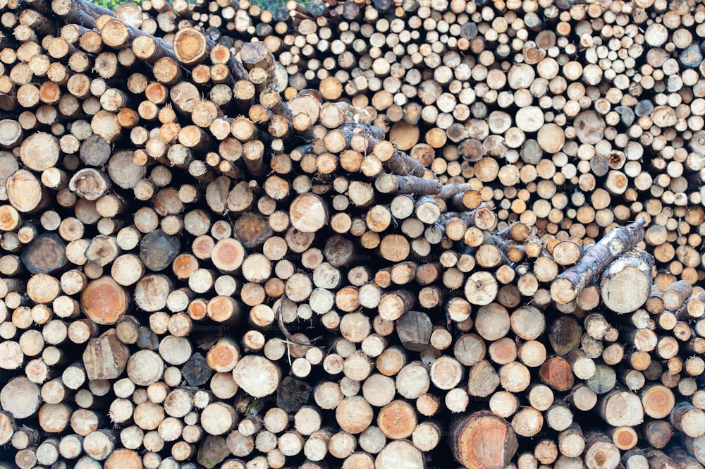 a large pile of logs stacked on top of each other