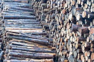 Una pila de troncos apilados uno encima del otro