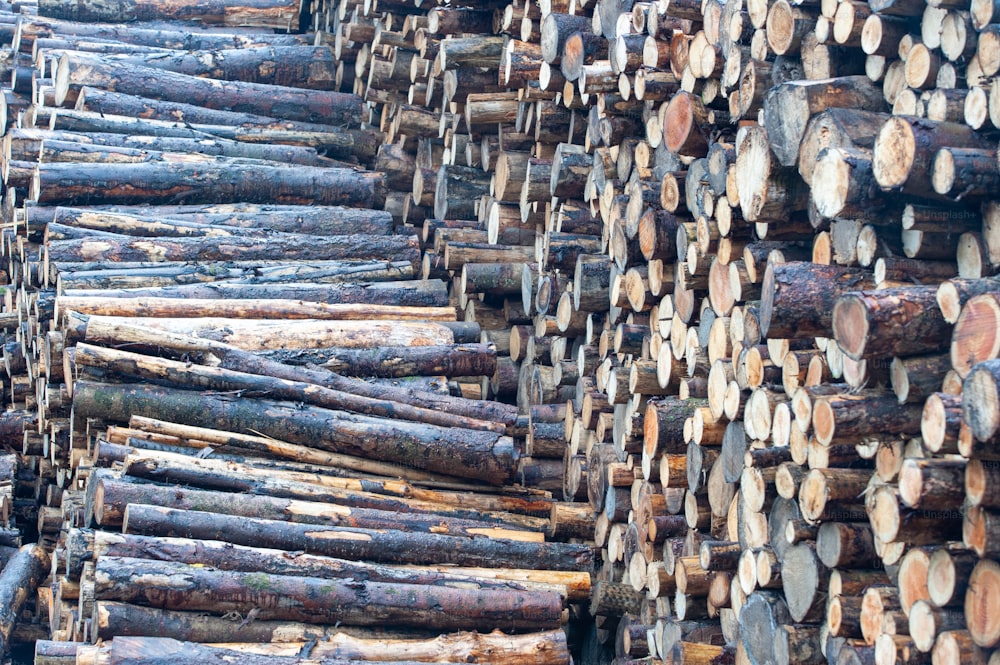 a pile of logs stacked on top of each other