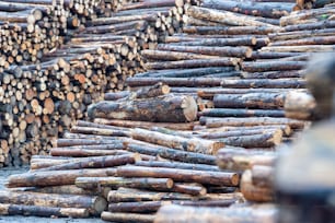 a pile of logs sitting next to each other