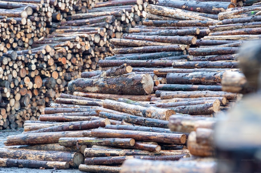 a pile of logs sitting next to each other
