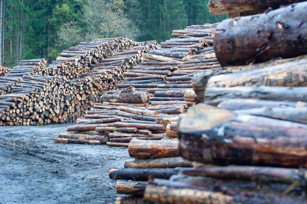 a pile of logs sitting on top of a dirt road