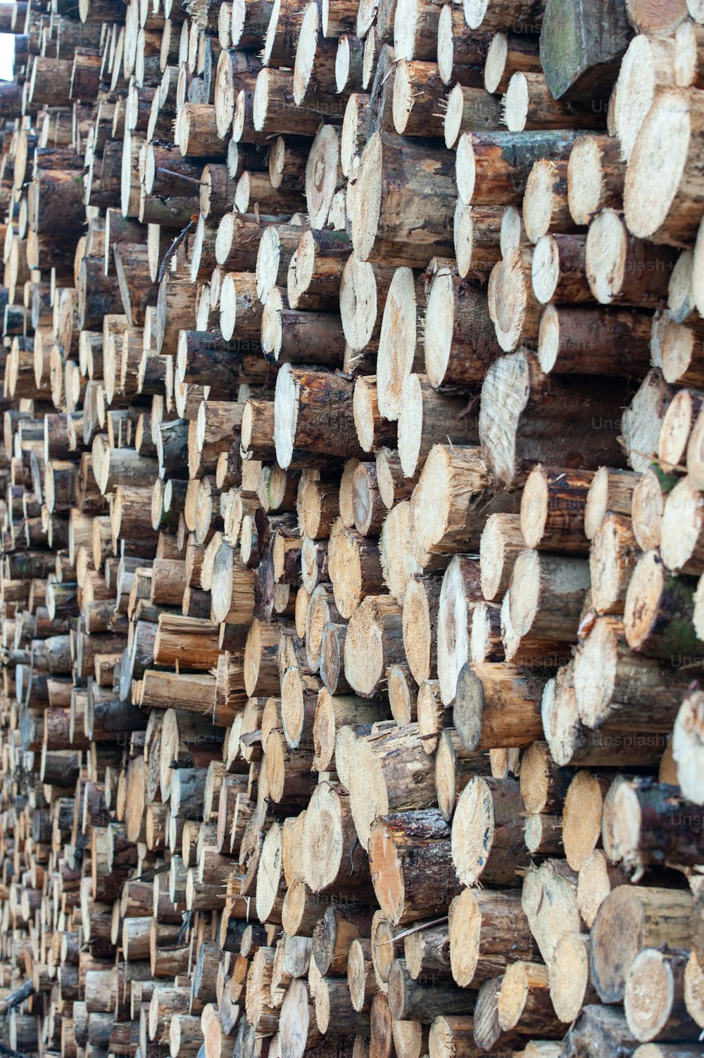 a pile of logs stacked on top of each other