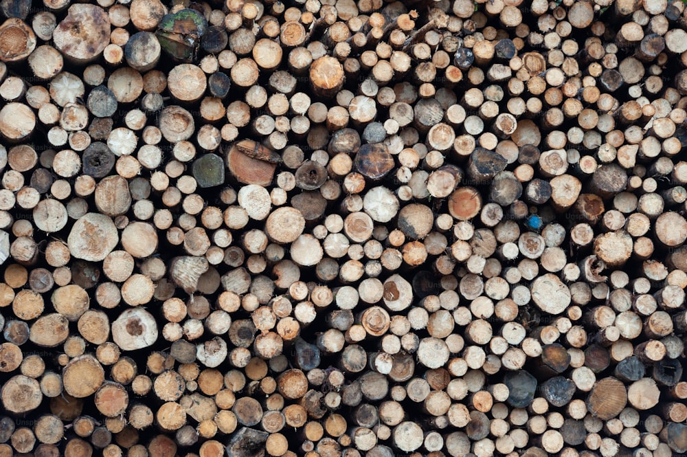 a pile of logs stacked on top of each other