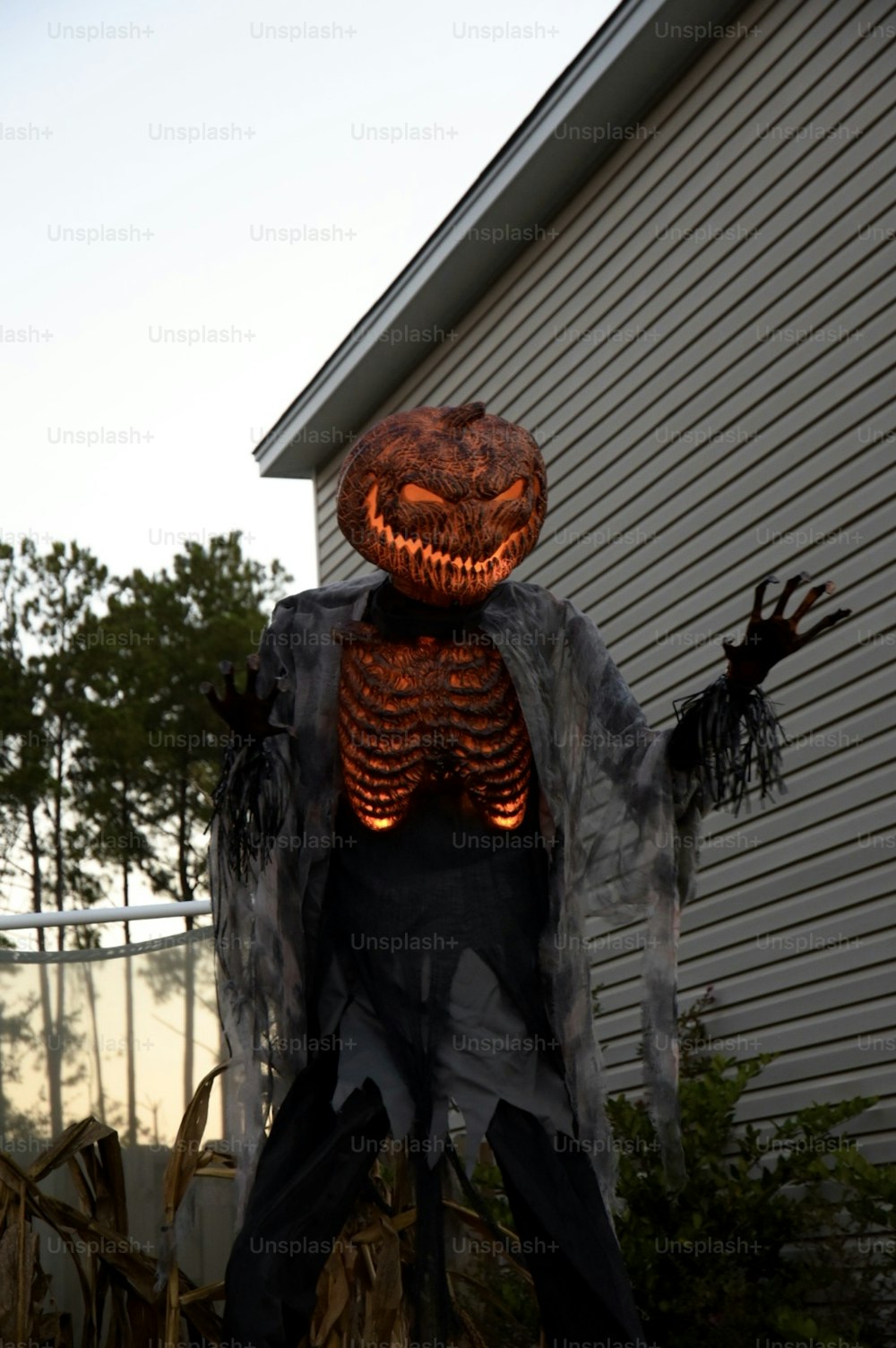 a lighted scarecrow in a yard with a house in the background