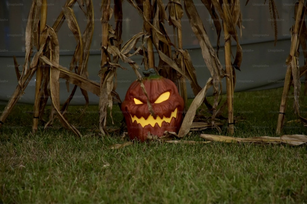 a pumpkin carved into the shape of a jack o lantern