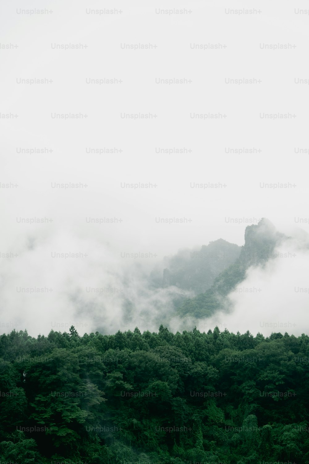 a mountain covered in fog and low lying clouds