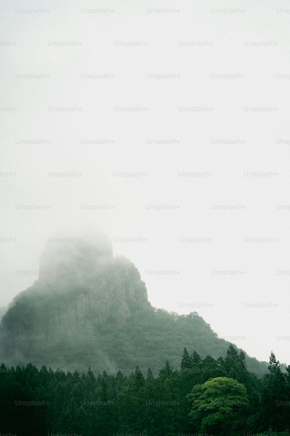 a foggy mountain with trees on the side of it