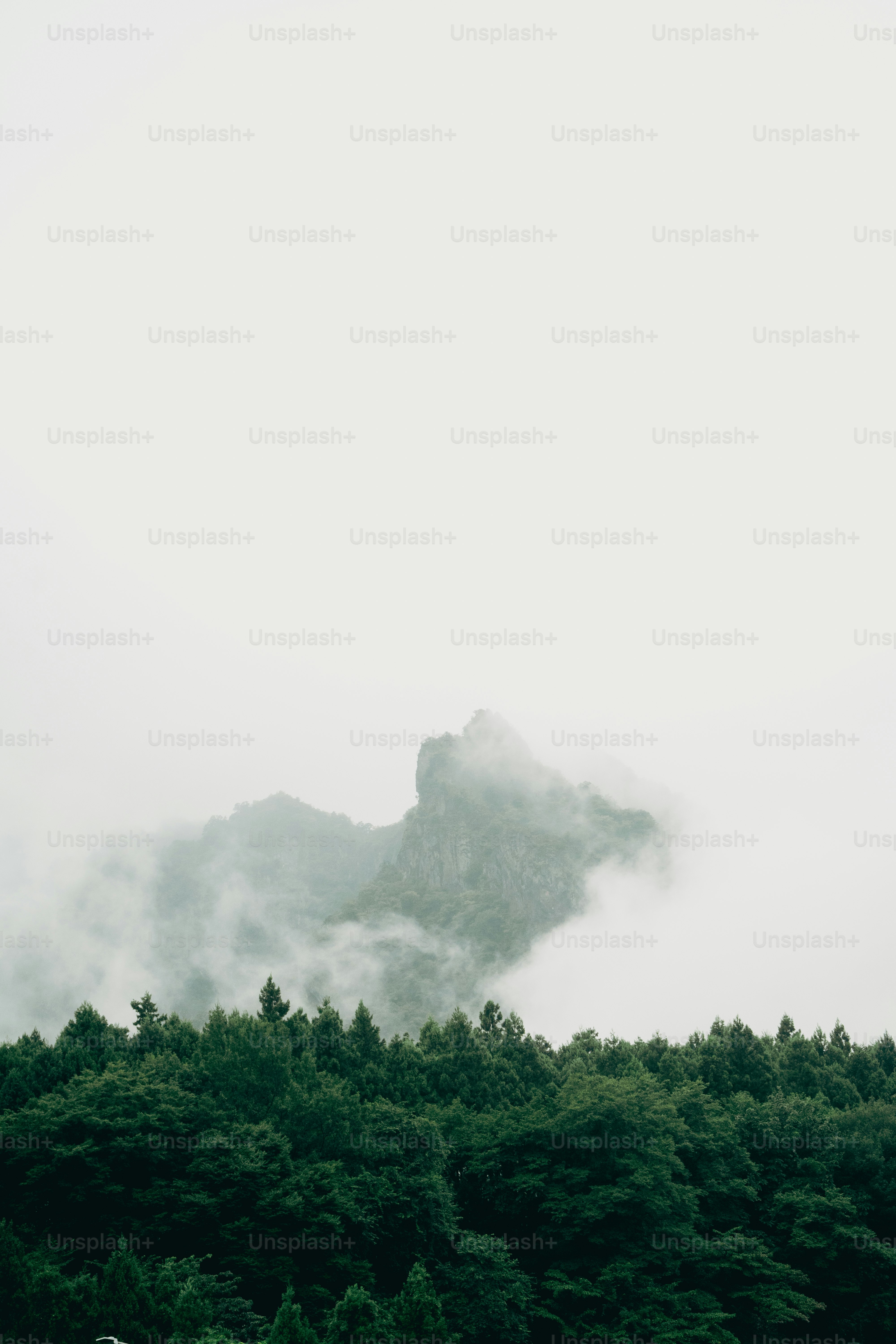a mountain covered in fog with trees in the foreground