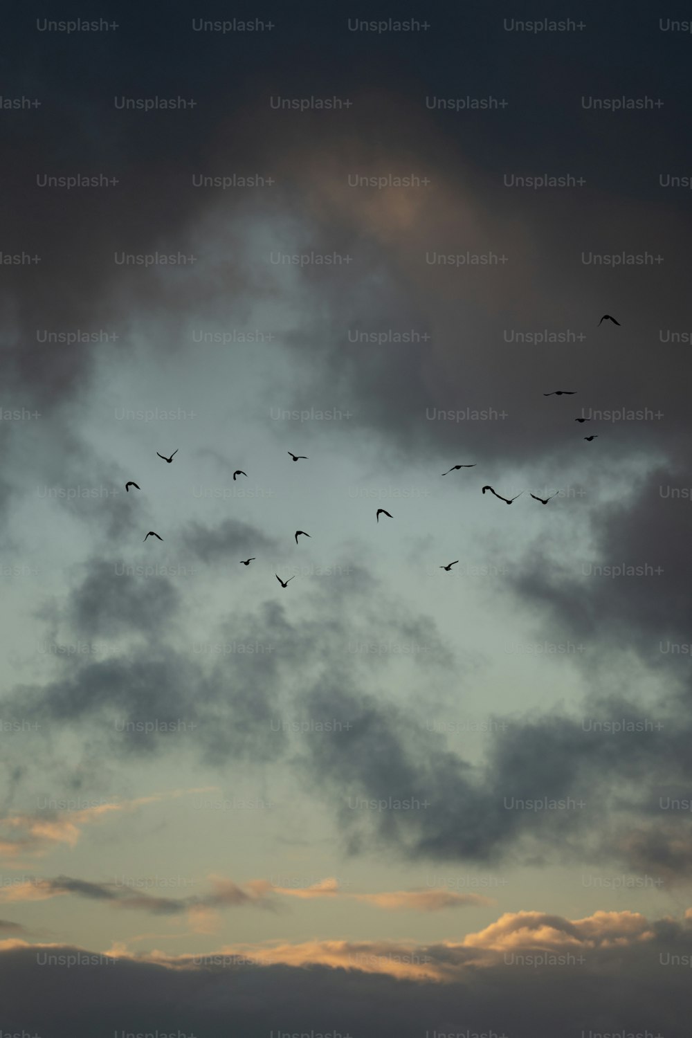 um bando de pássaros voando através de um céu nublado