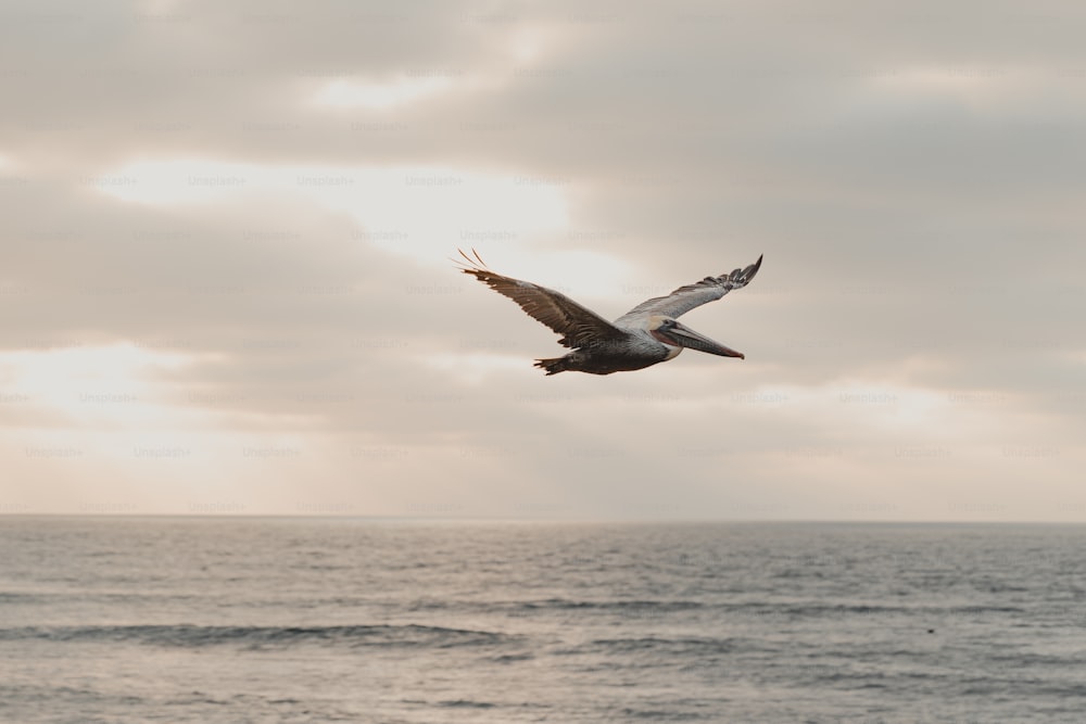 a bird flying over the ocean on a cloudy day