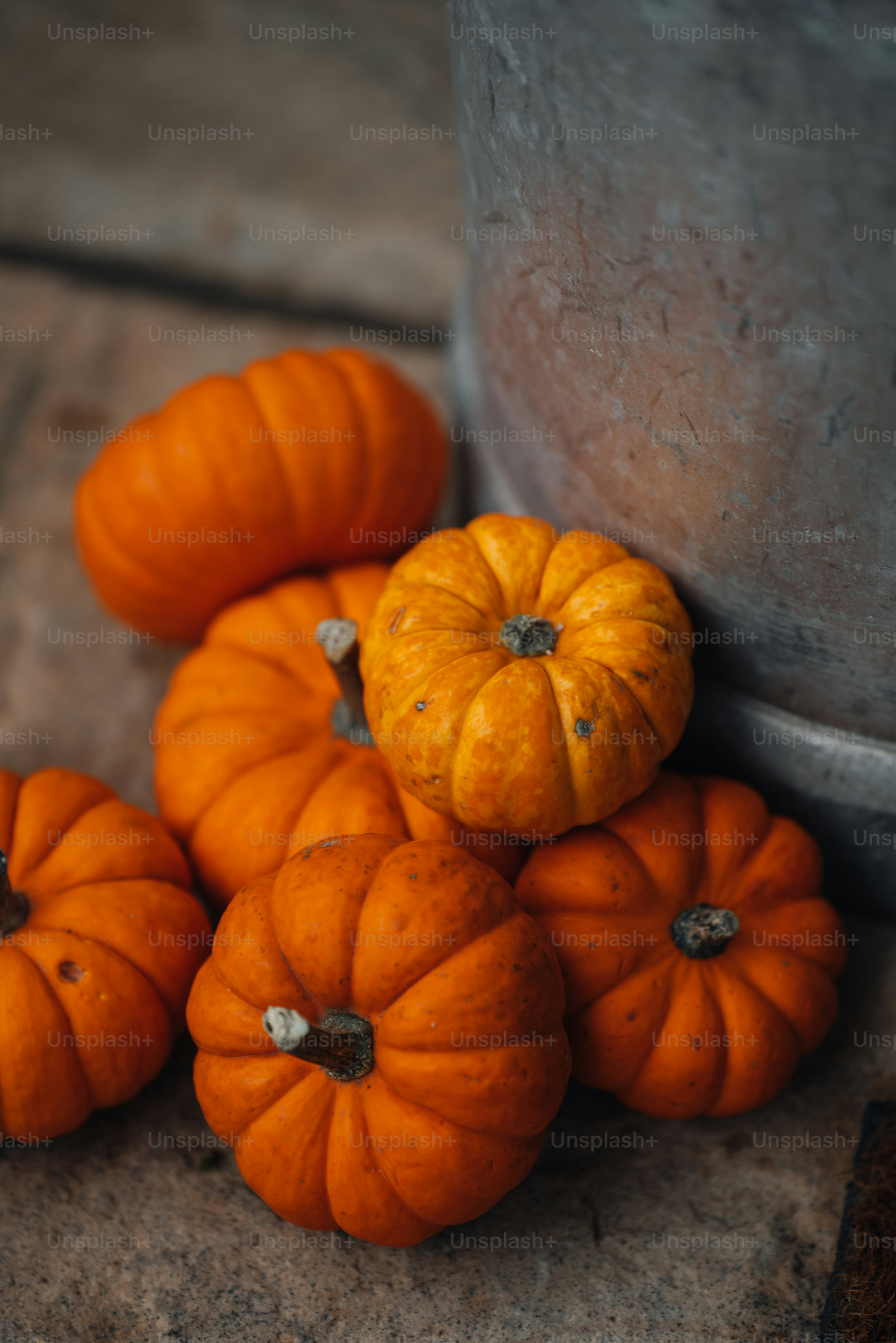a bunch of pumpkins sitting on the ground next to a bucket