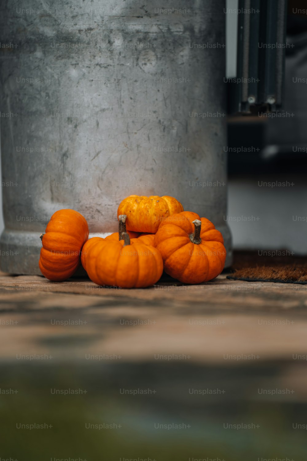 a group of small pumpkins sitting on the ground