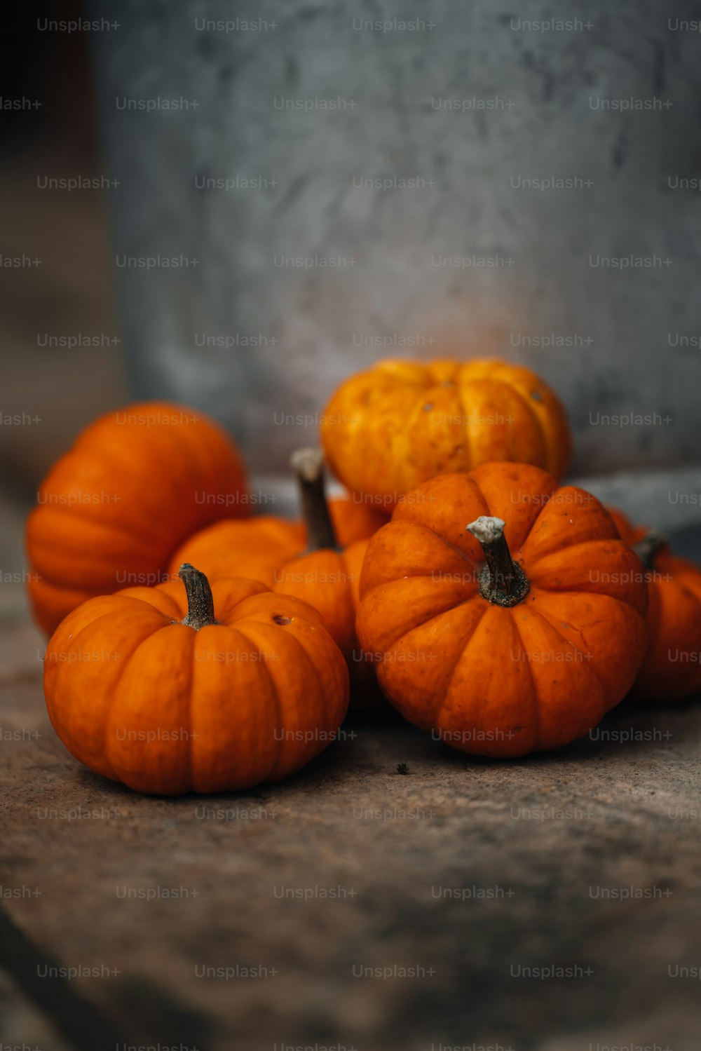 a group of small pumpkins sitting on top of a table