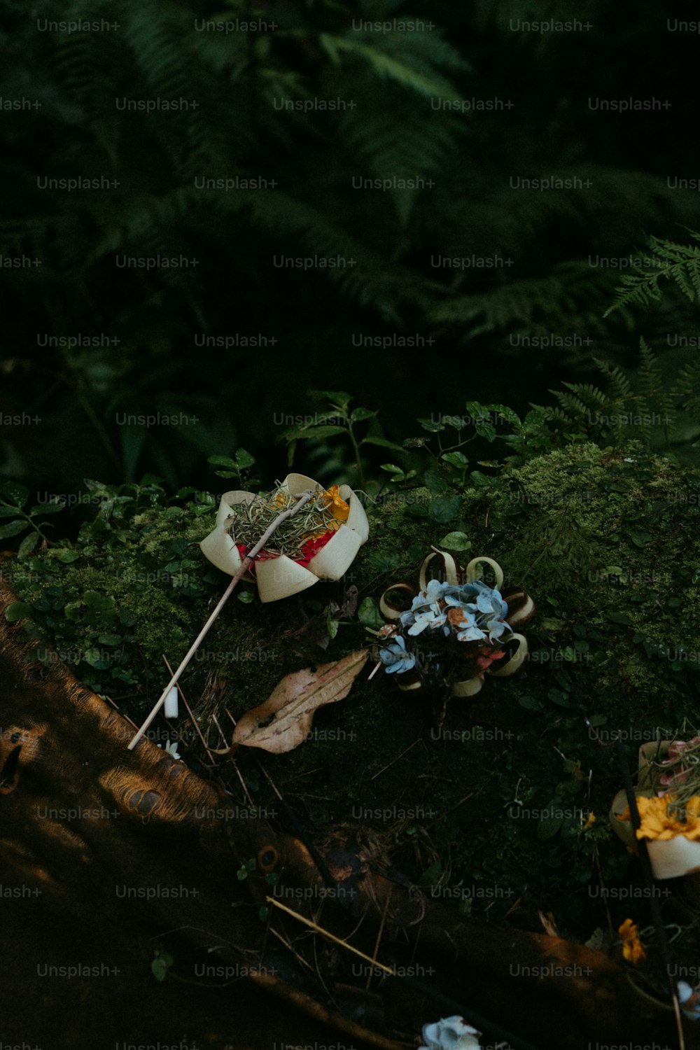 a bunch of items that are laying on the ground