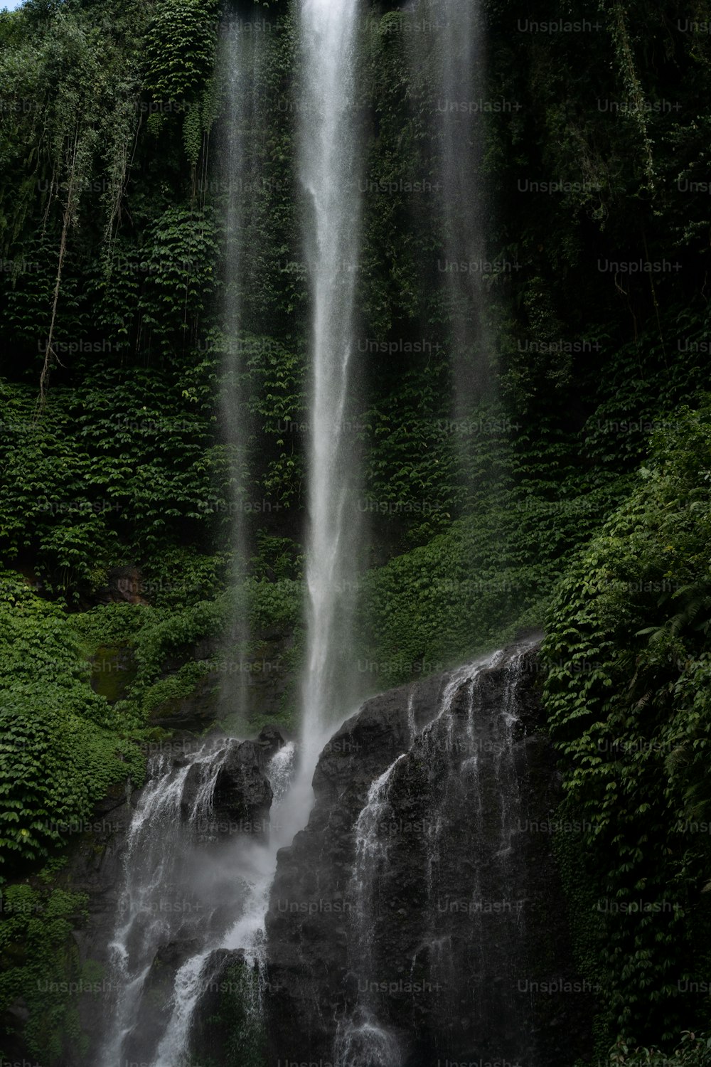 Une grande cascade au milieu d’une forêt verdoyante