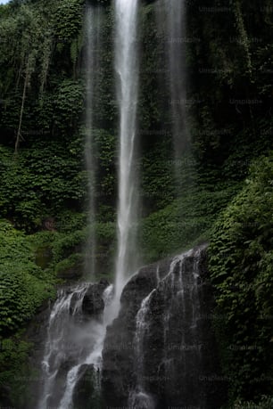Ein großer Wasserfall inmitten eines üppig grünen Waldes