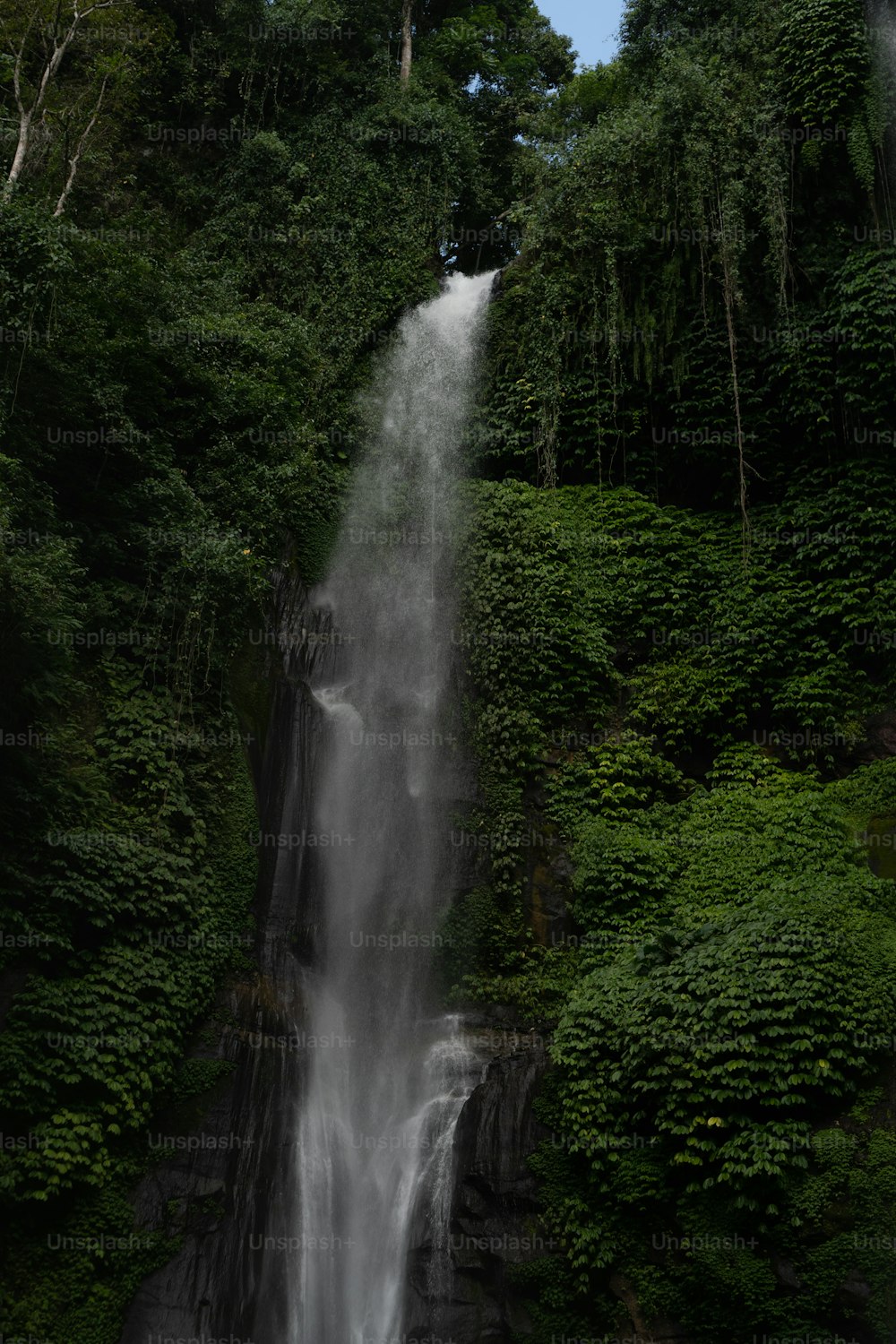 Une très haute cascade au milieu d’une forêt