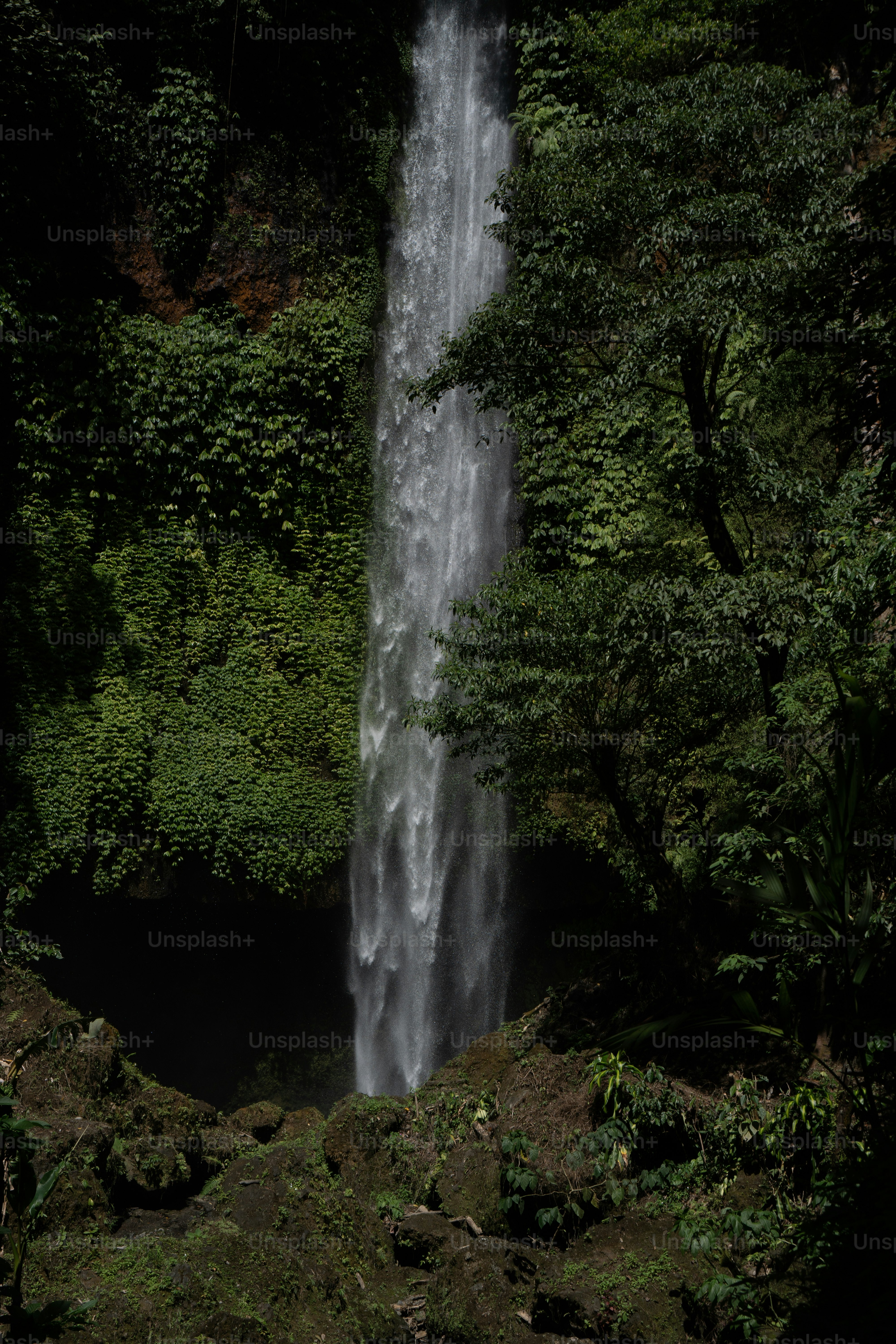 a large waterfall in the middle of a forest