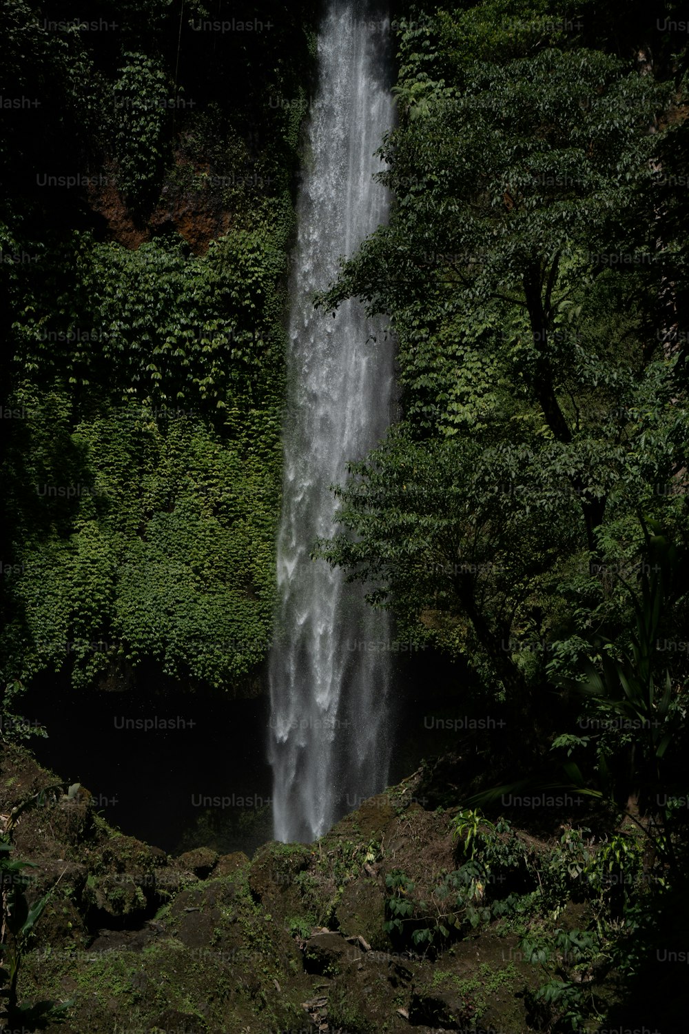 a large waterfall in the middle of a forest