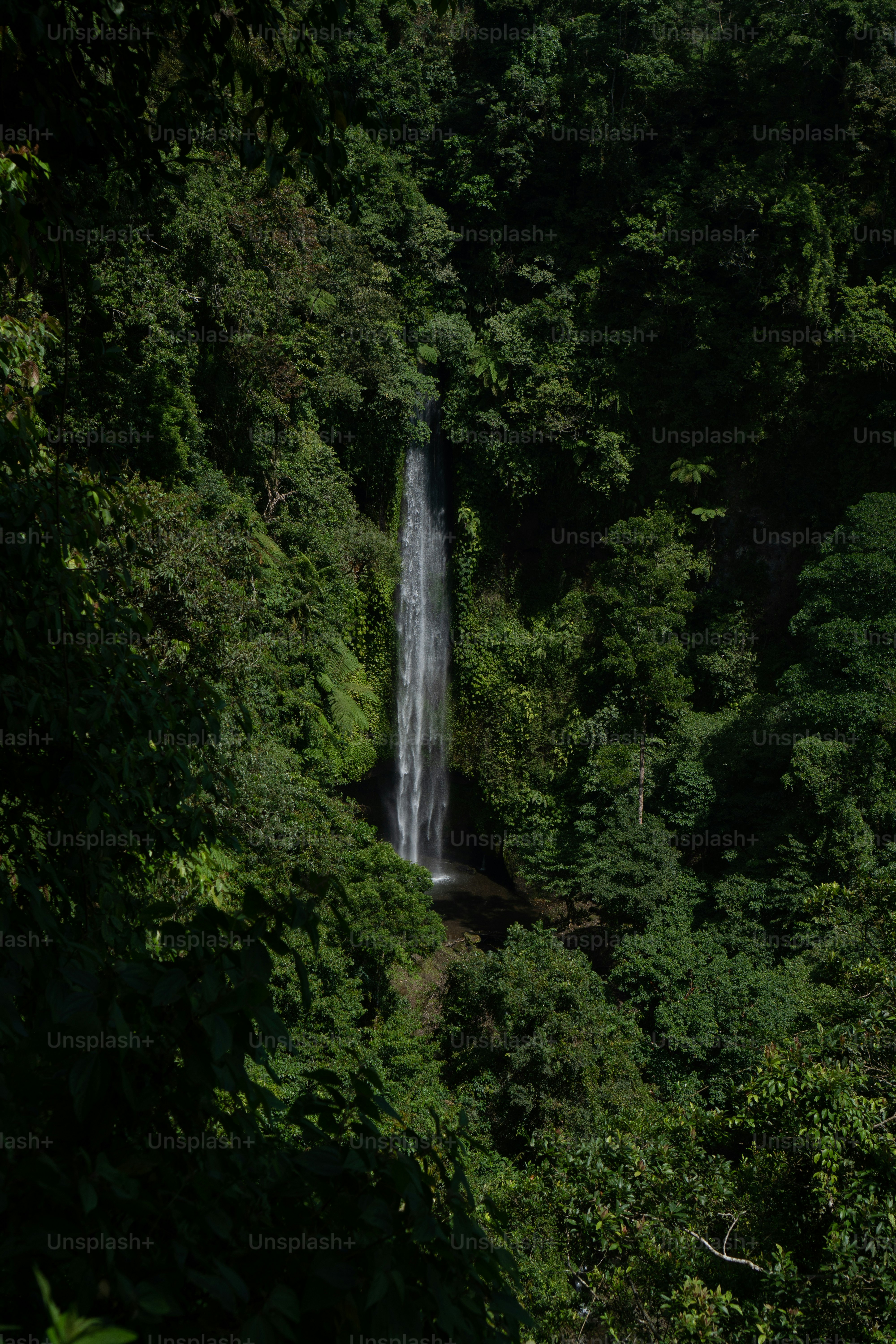 a large waterfall in the middle of a forest