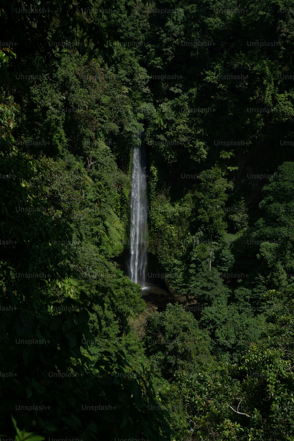 Una gran cascada en medio de un bosque