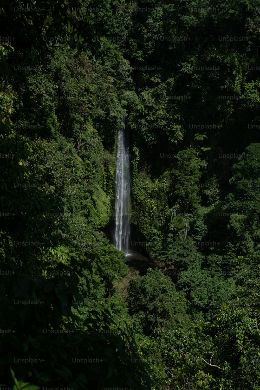 a large waterfall in the middle of a forest