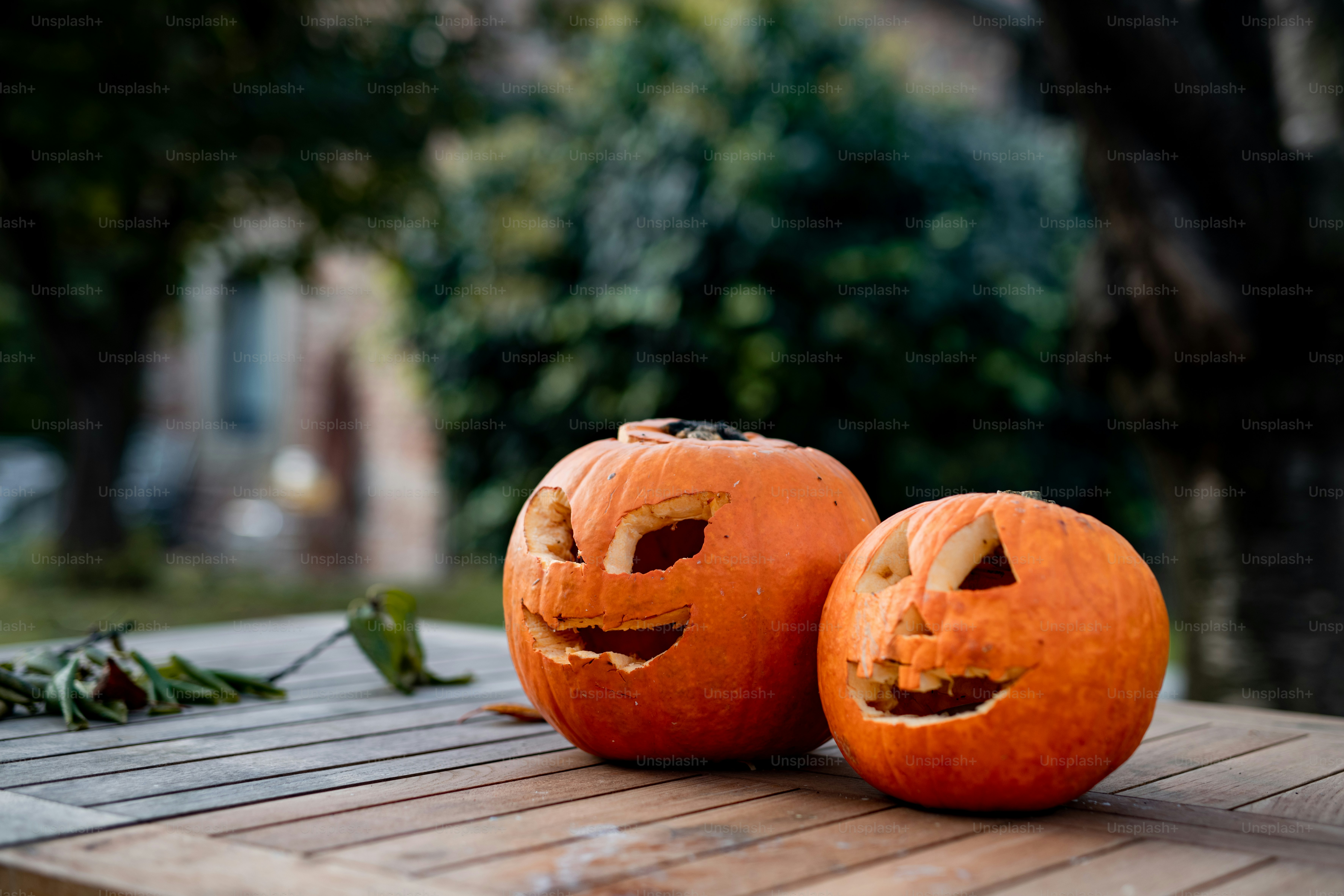 Deux citrouilles sculptées assises sur une table en bois photo – Image de  Automne sur Unsplash, image size:3000x2000