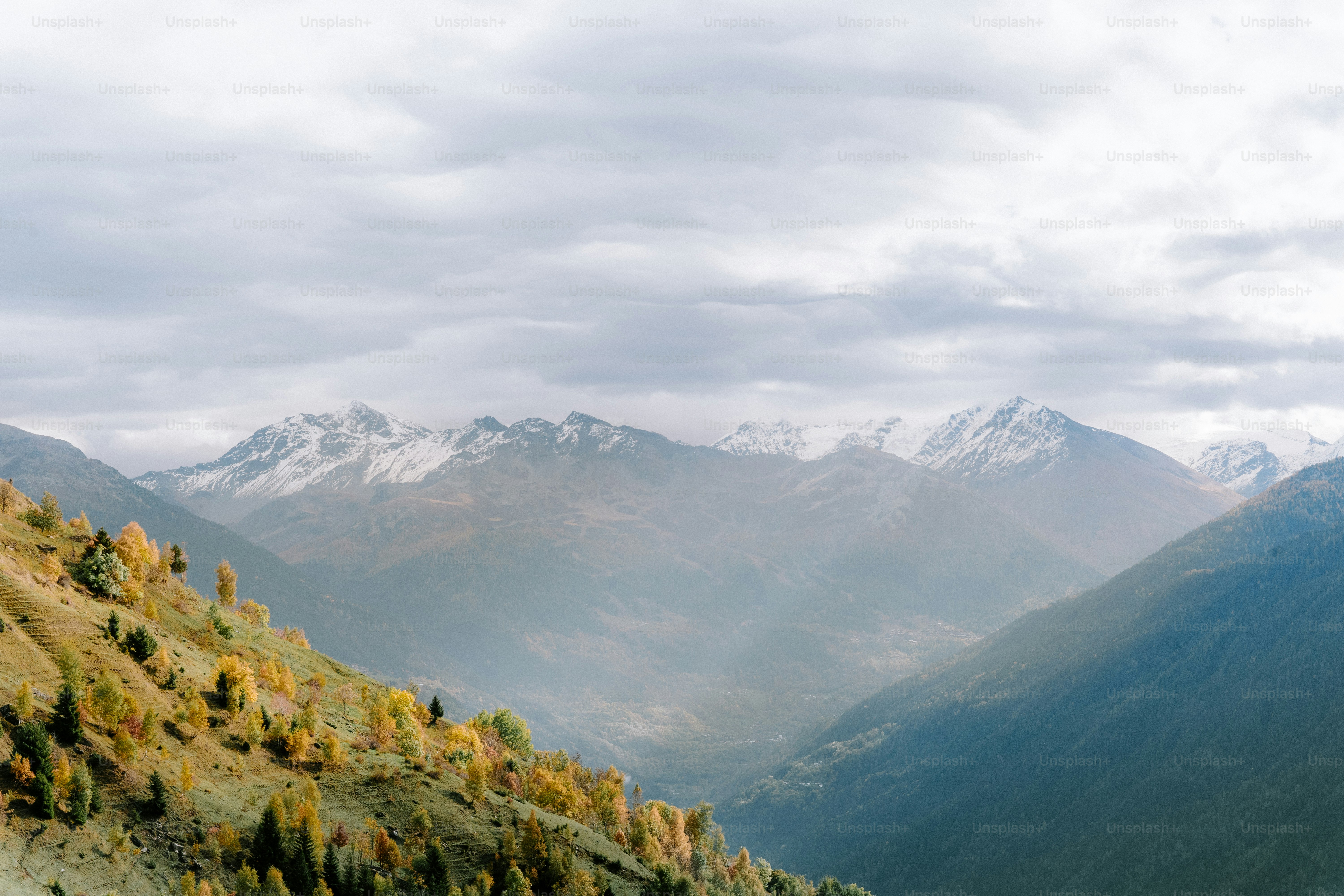 a view of a mountain range with trees in the foreground