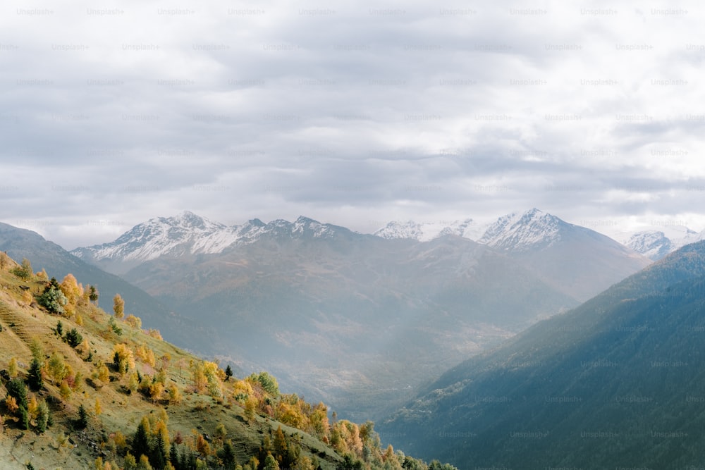 a view of a mountain range with trees in the foreground