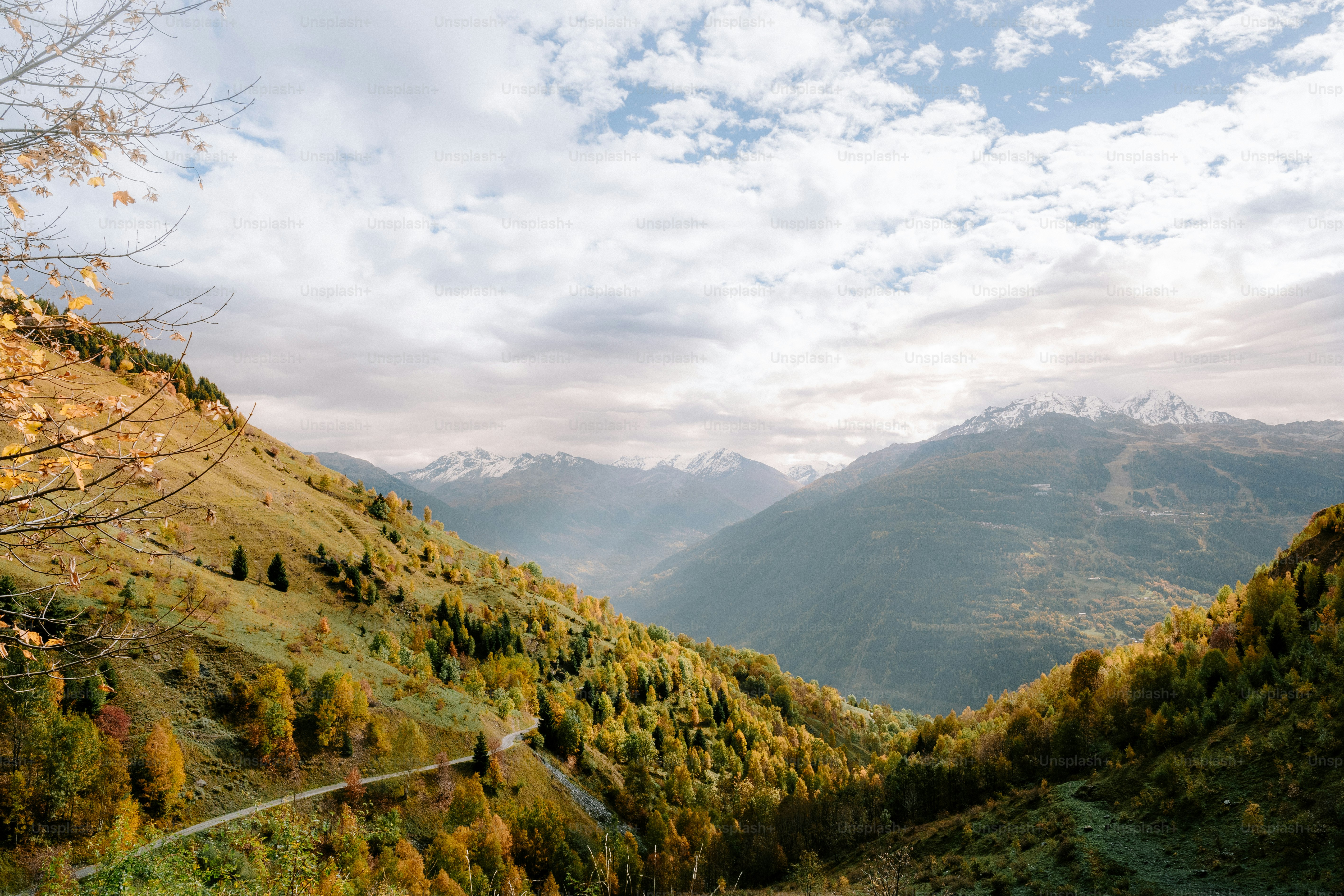 a scenic view of a valley with mountains in the background