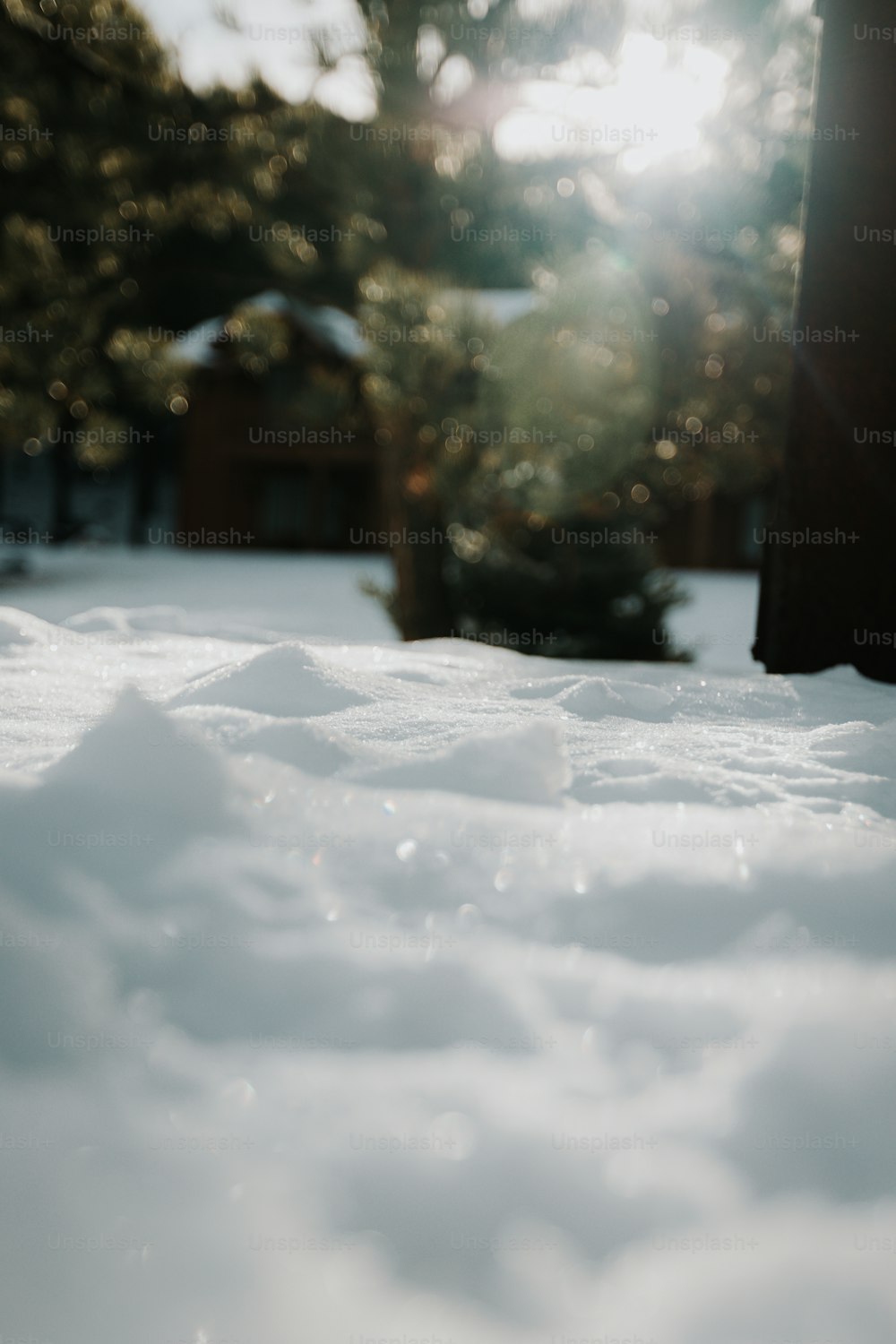 a snow covered ground with trees in the background