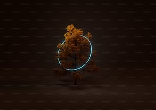 uma árvore no escuro com um círculo ao seu redor
