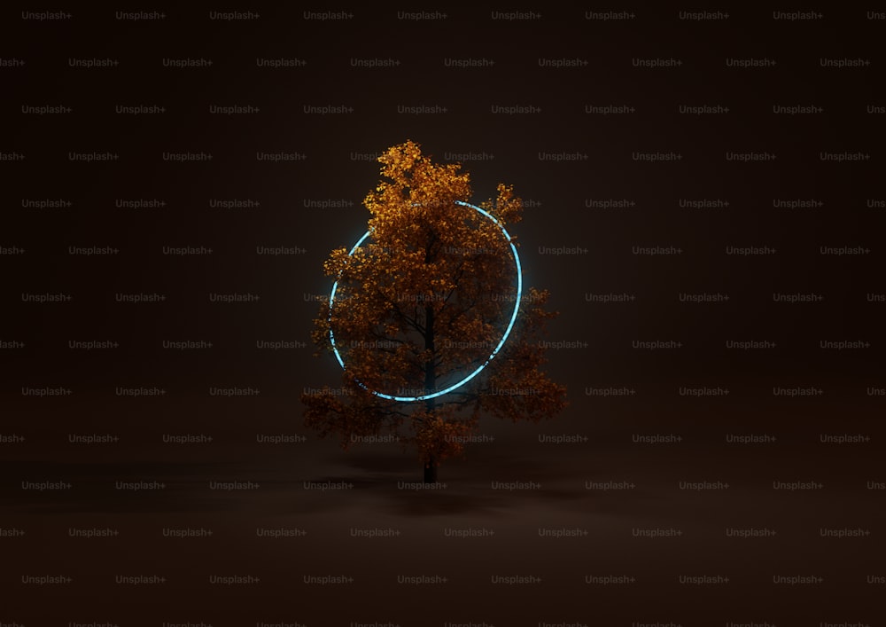 Un árbol en la oscuridad con un círculo a su alrededor