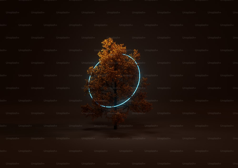 a tree in the dark with a circle around it