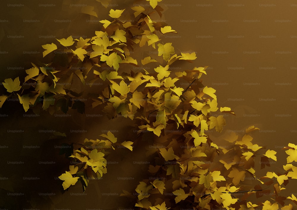 a tree branch with yellow leaves against a brown background