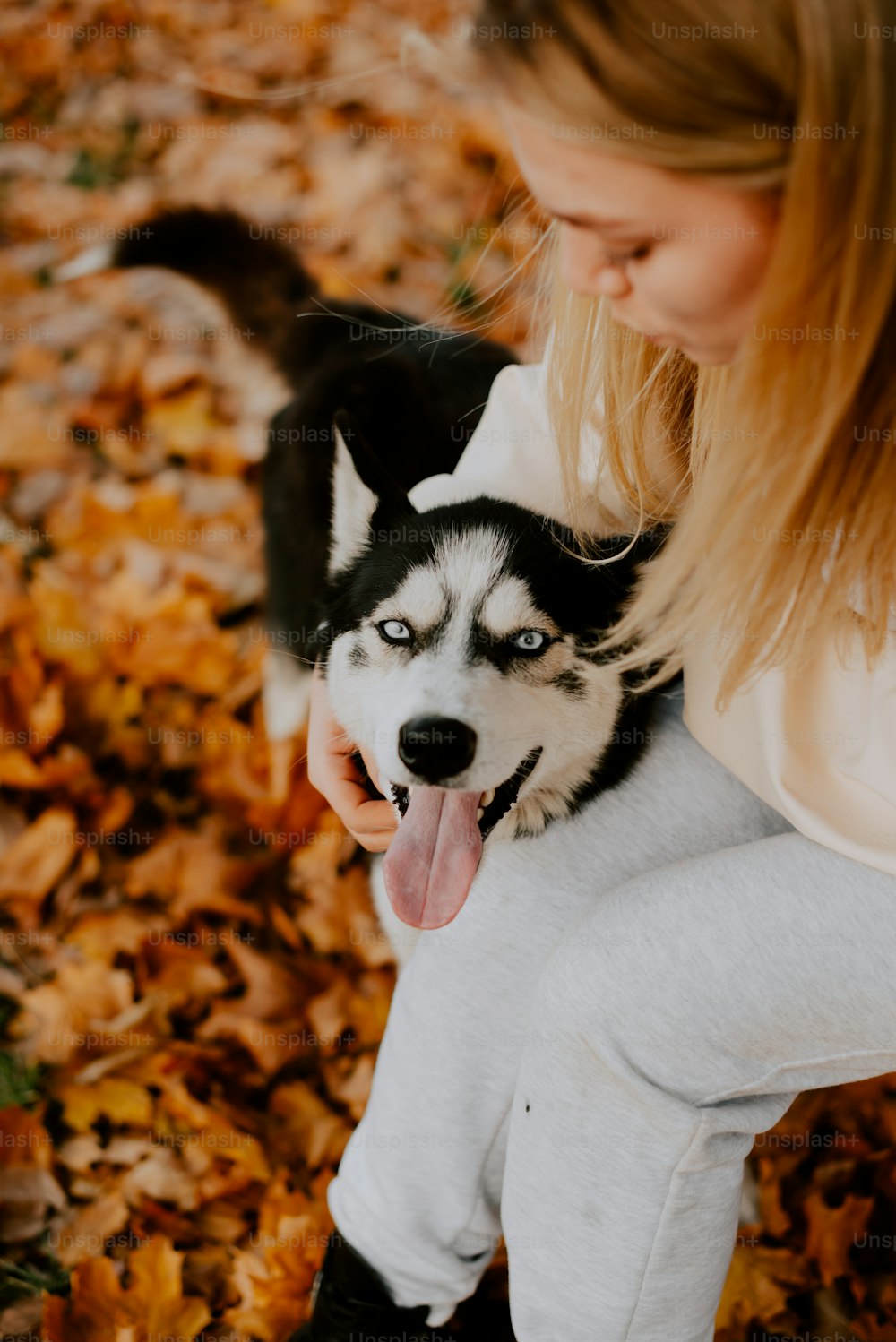 a woman holding a husky dog in her arms