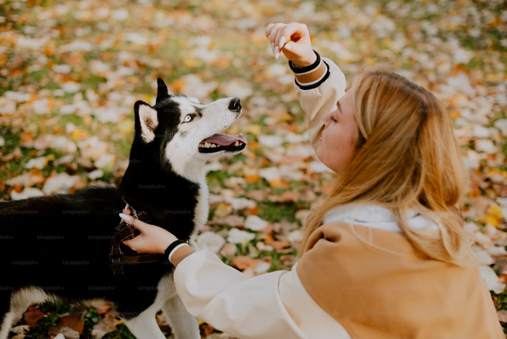 Eine Frau, die einen Hund in einem Laubfeld streichelt