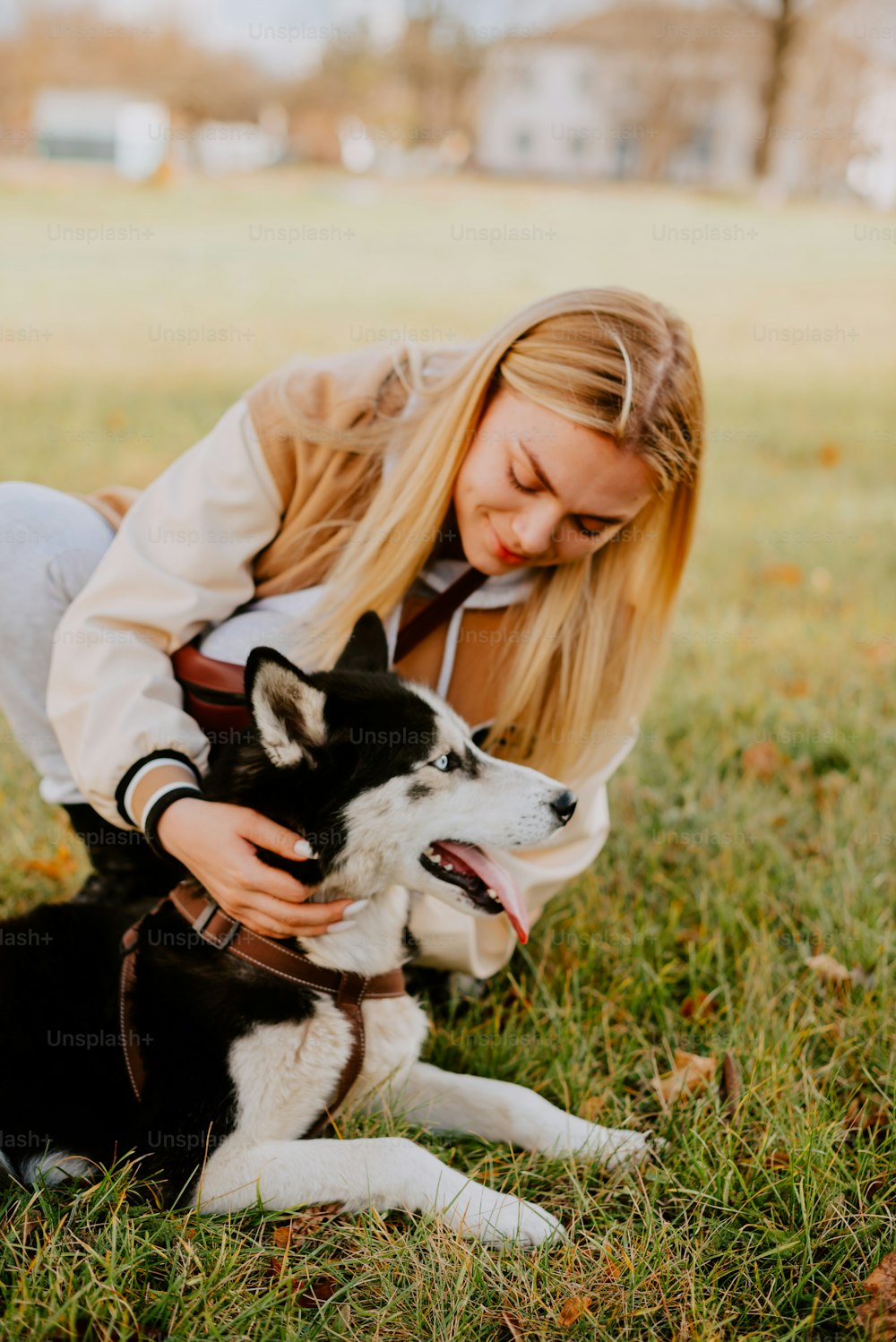 Une femme joue avec un chien dans l’herbe